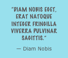 “Diam nobis eget, erat natoque integer fringilla viverra pulvinar sagittis.”
— Diam Nobis